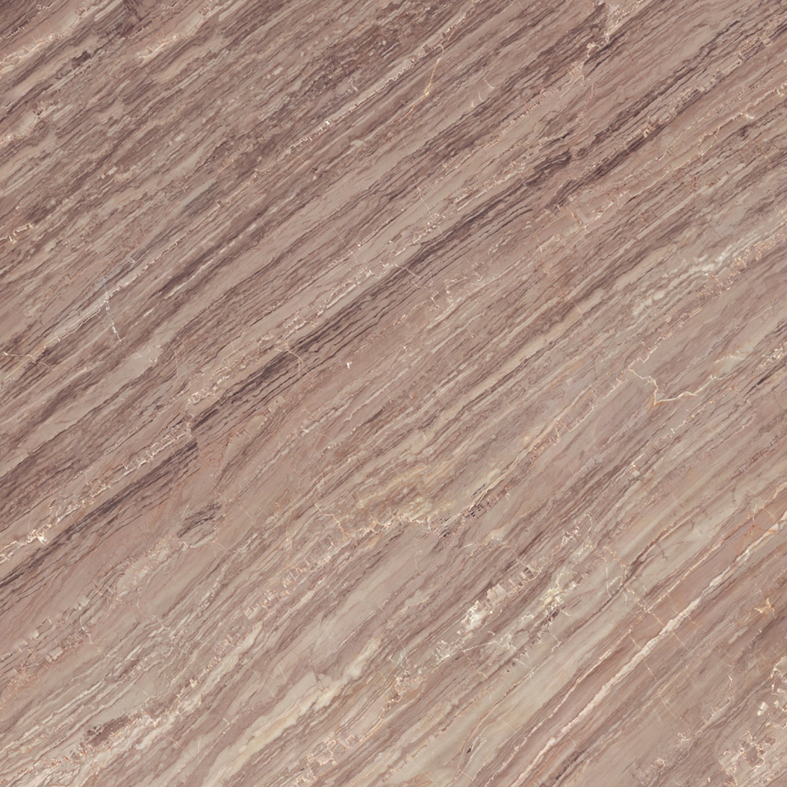Platinum Denver Brown 50x50